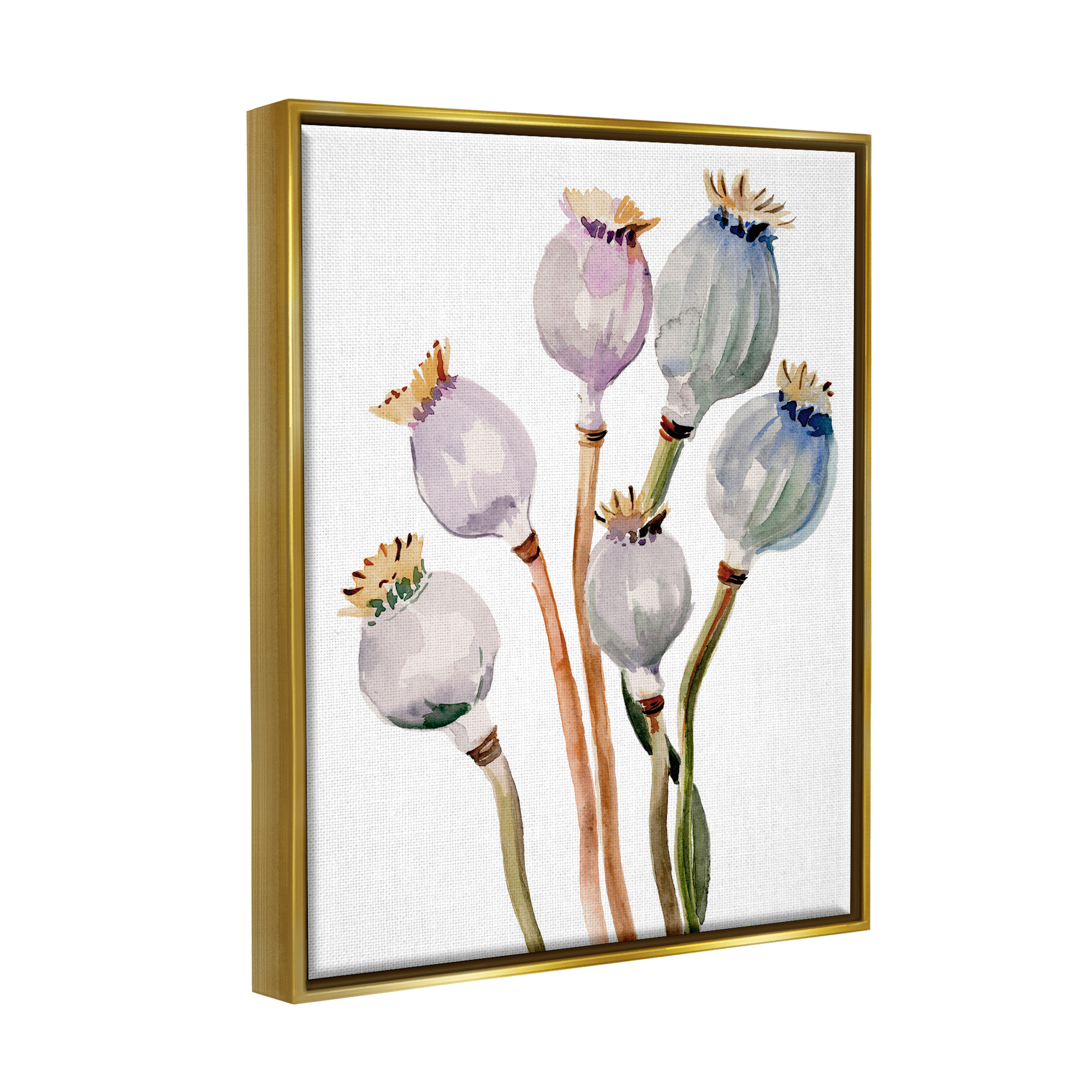 Stupell Industries Poppy Pods Watercolor Botanicals Botanical & Floral Painting Gold Floater Framed Art Print Wall Art