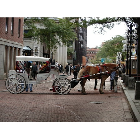 LAMINATED POSTER Horse Horse-drawn Boston Carriage Coach Tourist Poster Print 24 x