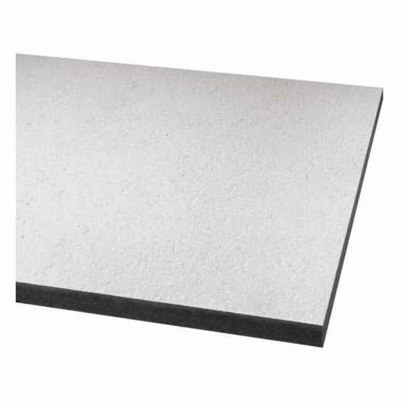 Ceramaguard Ceiling Tile, 24 in W x 48 in L, Square Lay-In, 15/16 in Grid Size, 6 PK 605C