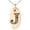Rose, variant on Stainless Steel Letter J Initial Dotted Monogram Engraved Small Oval Charm Pendant Necklace