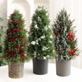 thumbnail image 1 of Ganfancp Árbol de Navidad Ornamento Árbol de Navidad Escena Frutos Rojos Maceta de Plástico Árbol de Navidad Ornamento Rebajas Flash Deals Árbol de Navidad X1, 1 of 6