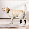 thumbnail image 5 of Fleibrace Knee Brace Stabilizing Support For Dogs & Cats, Patella Protection & Ligament Joint Dislocation Rehabilitation, Enhanced Mobility & Recovery, Large Size For Medium/Large, 5 of 5