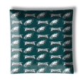 thumbnail image 1 of 888 Cool Fans L-0001083 12 in. Philadelphia Eagles Square Semi Flush Mount Ceiling Lamp, 1 of 1
