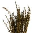 thumbnail image 2 of Vickerman 22-26" Aspen Gold Grabia, 5-6 oz Bundle, Preserved, 2 of 4