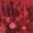 Red, variant on Women Belly Dance Hip Skirt Tassel Scarf Sequin Wrap Rave Costume ,Red