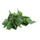 thumbnail image 2 of Artificial Hanging Plants Landscaping and Crawler Box Decorative Simulation Rattan, 2 of 2