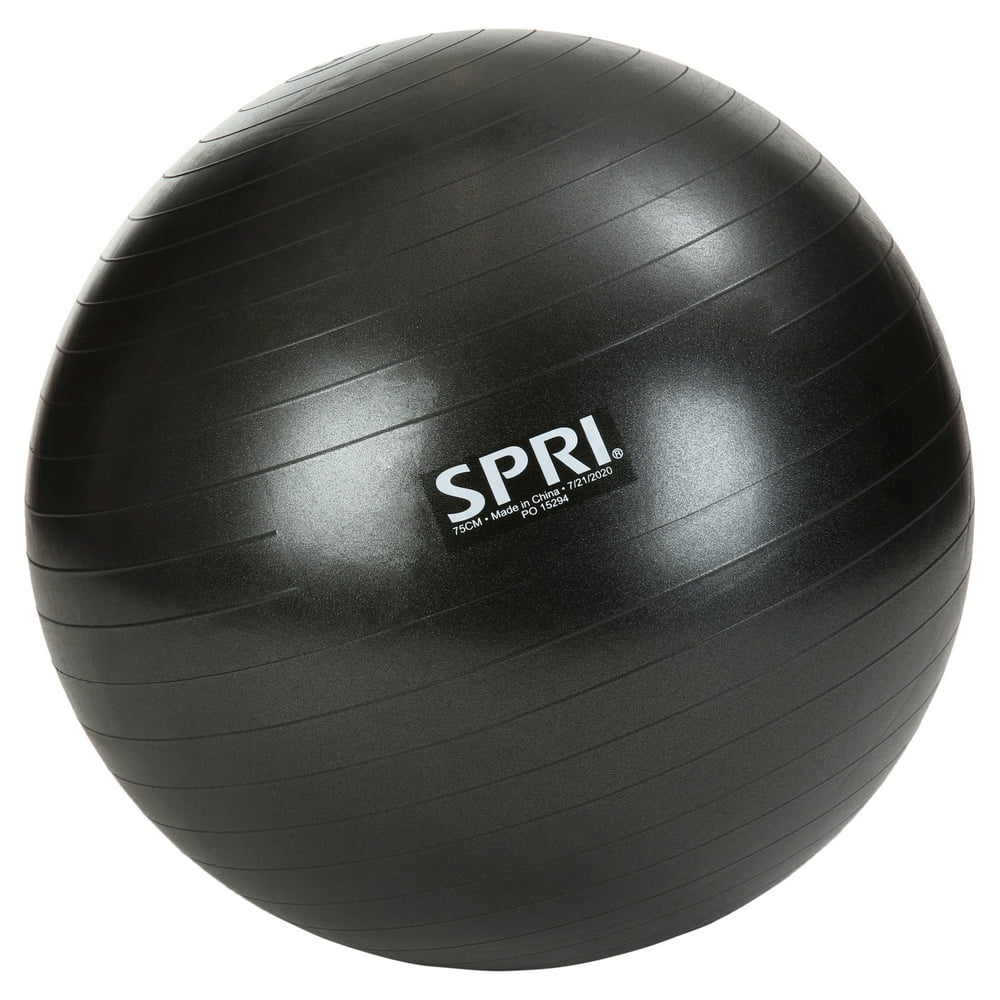 SPRI Weighted Stability Exercise Ball, 75CM
