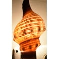thumbnail image 3 of Seashell Night Light Real Fox Conch Beach Decor w. Auto Light Sensor Beautiful Coastal Cottage, 3 of 3