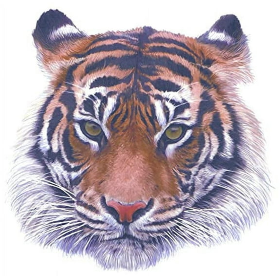 Whimsical Practicality's Ferocious Tiger Edible Icing Image Cake Topper-1/4 Sheet or Larger