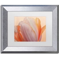 Trademark Fine Art 'Orange Glowing Tulip' Canvas Art by Cora Niele, White Matte, Silver Frame