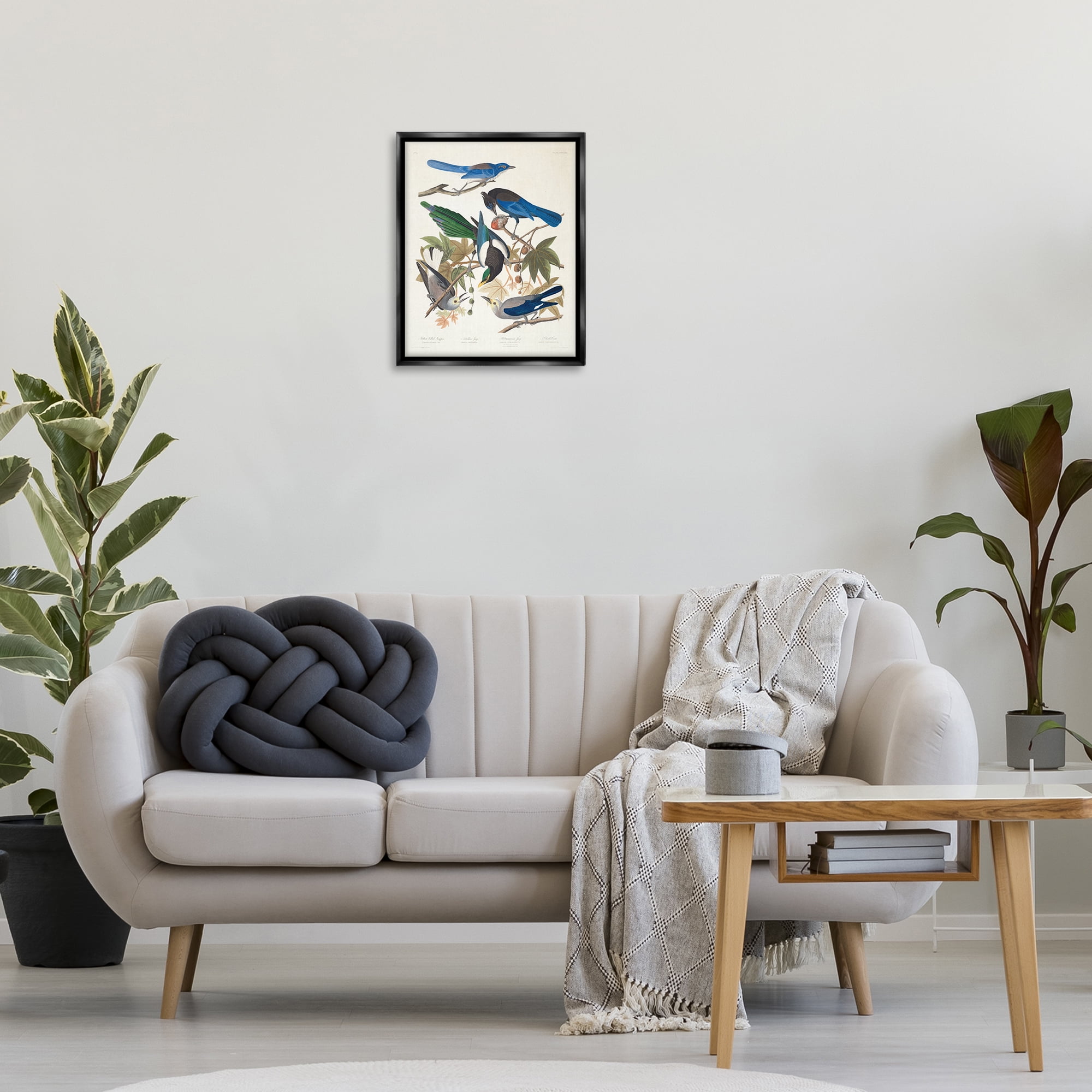 Stupell Industries Classic Yellow Billed Magpie Animals Painting Black Floater Framed Canvas Art Print Wall Art, 17 x 21