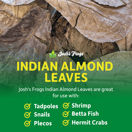 Josh's Frogs Indian Almond Leaves (5 pack)
