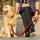 thumbnail image 1 of Collar De Perro Y Set De Correa De Entrenamiento 130, 1 of 4