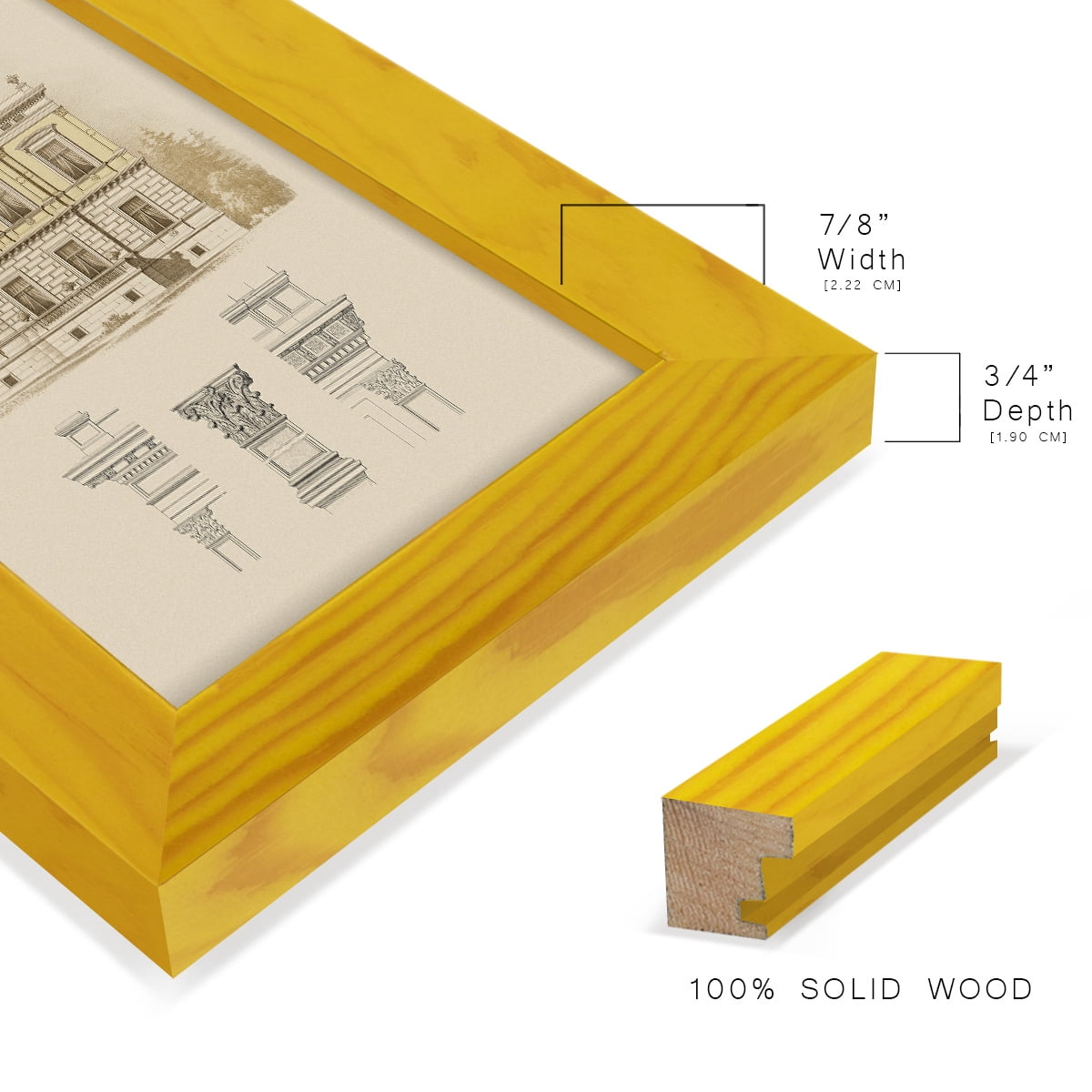 Estate & Plan IV -Framed Print w/glass-Sunflower Yellow