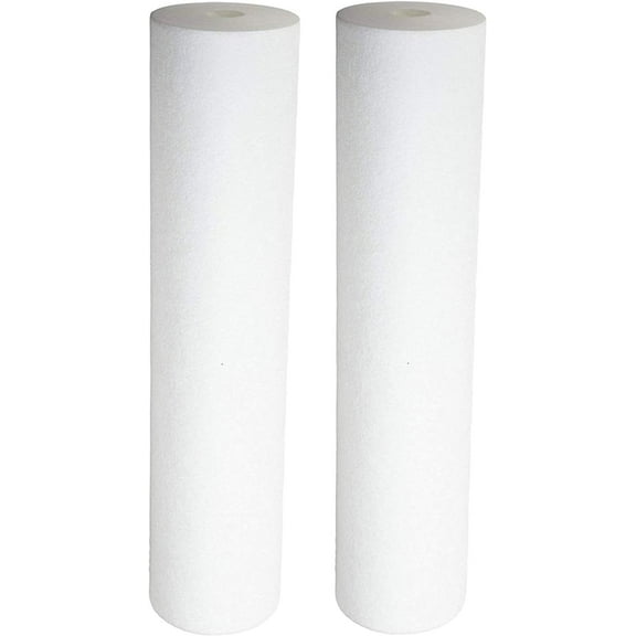 Sediment Filter - Dual Gradient Density 25/1 Micron 20" x 4.5" 2 Pack by CFS