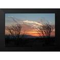 thumbnail image 2 of Berzel, Erin 14x11 Black Modern Framed Museum Art Print Titled - Ocotillo Cactus III, 2 of 5