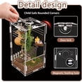 8x4x4in Vertical Acrylic Jumping Spider Enclosure – Arboreal Tarantula ...