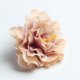 thumbnail image 3 of 10 Unids Seda Artificial Peony Flower Cabezales Apliques para DIY Accesorios para El Cabello Artesanía BLESIY Cabeza de flor de peonía de seda, 3 of 8