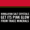 thumbnail image 4 of McCormick Himalayan Pink Salt Grinder 6.03 oz - 5 Pack, 4 of 5