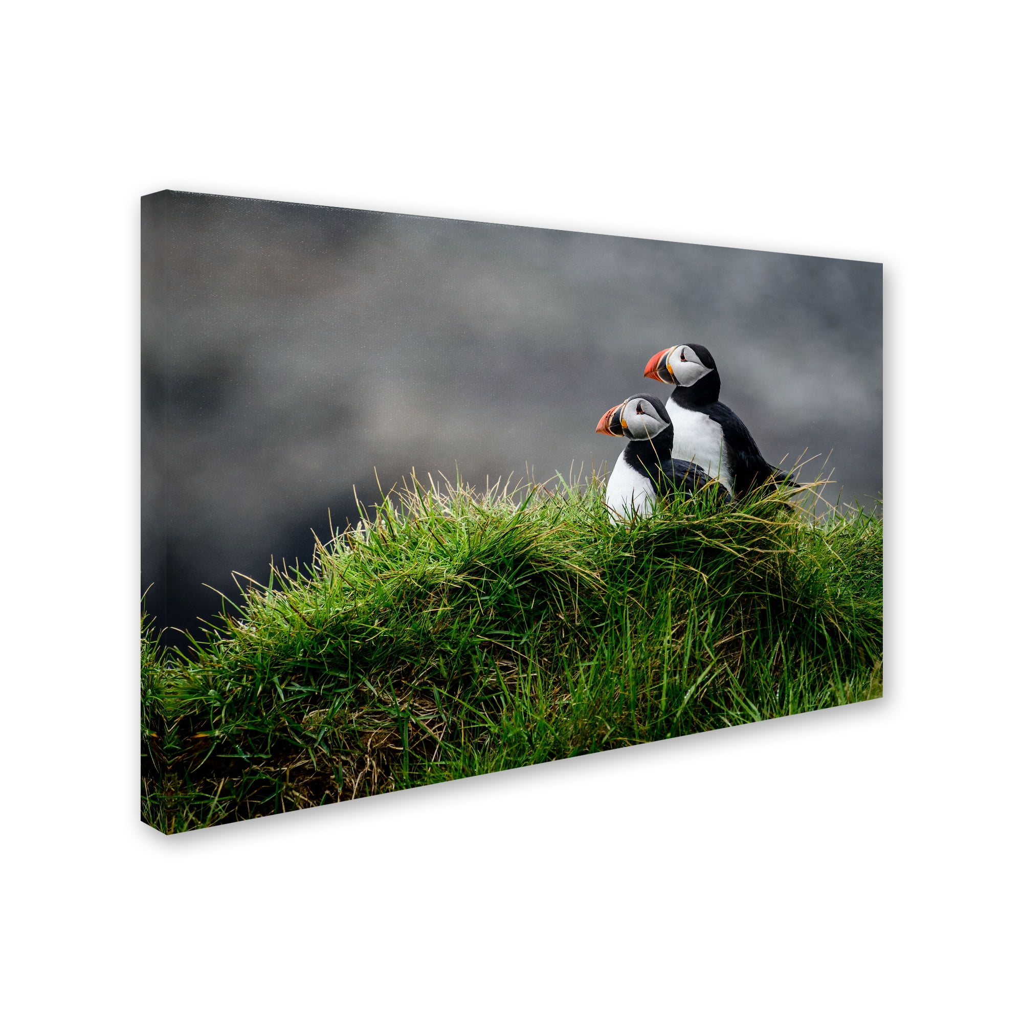 Ralf Kayser 'Pumpkin' Canvas Art