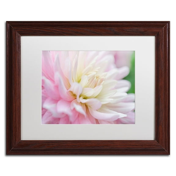 Trademark Fine Art 'White and Pink Dahlia' Canvas Art by Cora Niele, White Matte, Wood Frame