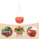 thumbnail image 3 of Greenadscape Maceta Suspendida Multicolor Para Ideal Para Plantas De Interior Y Exterior, 3 of 8