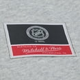 thumbnail image 5 of Women's Mitchell & Ness  Heather Gray Dallas Stars Hockey Night Sweatshirt, 5 of 5