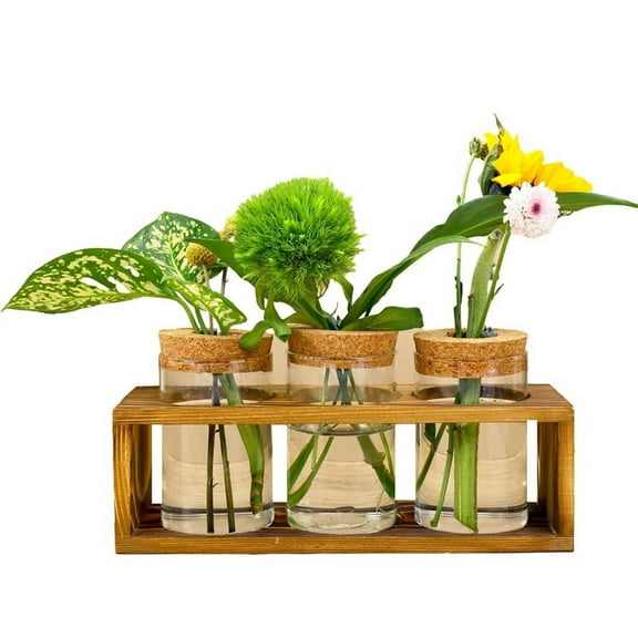 Propagation Station,Glass Plant Terrarium for Plant Cutting,Enhances HomeDcor,Perfect Indoor Centerp Wood   Glass