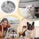 thumbnail image 3 of Slow feeder bowls for dogs Stainless steel with nonslip base, 3 of 5