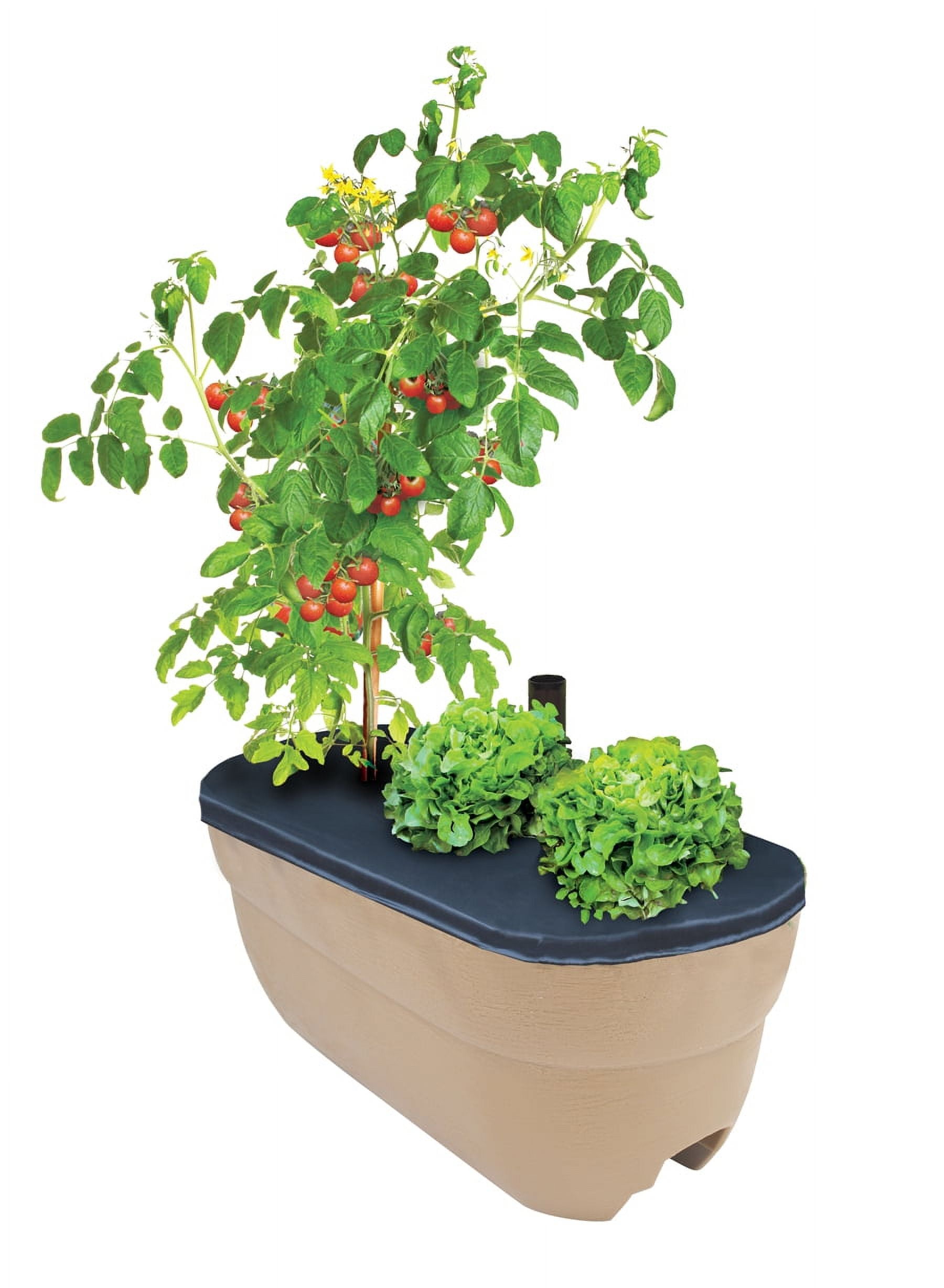 Bloomers Rail Picker Self-Watering Rail Planter Grow Box – 24" Weatherproof Resin Planter– Brown