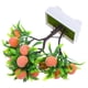 thumbnail image 2 of Bonsái artificial de durazno en maceta, planta en maceta, árbol frutal falso, planta artificial decorativa, 2 of 7