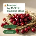 thumbnail image 5 of NatureBell Women's Probiotics+ - 240 Vegetarian Capsules - Prebiotic, Probiotic, Postbiotic & Digestive Enzymes - Made with Cranberry, D-Mannose, Inositol & More - 120 Servings, 5 of 8