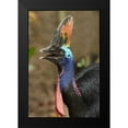 thumbnail image 2 of Fitzharris, Tim 17x24 Black Modern Framed Museum Art Print Titled - Cassowary, 2 of 5