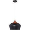 thumbnail image 2 of Possini Euro Design Felton Black Mini Pendant Light 12" Wide Farmhouse Rustic Rounded Shade for Dining Room Home Foyer Kitchen Island Entryway Bedroom, 2 of 9