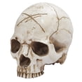 thumbnail image 4 of Halloween Decoration Dinosaur Crafts Teaching Resin Model Skeleton Decoration & Hangs, 4 of 9