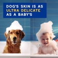thumbnail image 3 of Shampoo para perros Douxo SPA Avena 473 ml Hipoalergénico, 3 of 7