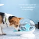thumbnail image 5 of Billuyoard Alimentador automático de fuente de agua para mascotas, dispensador de bebidas, bebedero lavable a prueba de polvo, contenedor de gran Suministros para perros, 5 of 6
