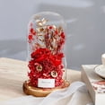 thumbnail image 4 of Advancent Decor The Beautiful and Beast Inmortal Rose Glass Cover Flower Dried Flower Regalo de San Valentín, decoración de flores. Decoración del hogar festival rojo 15x22cm, 4 of 6