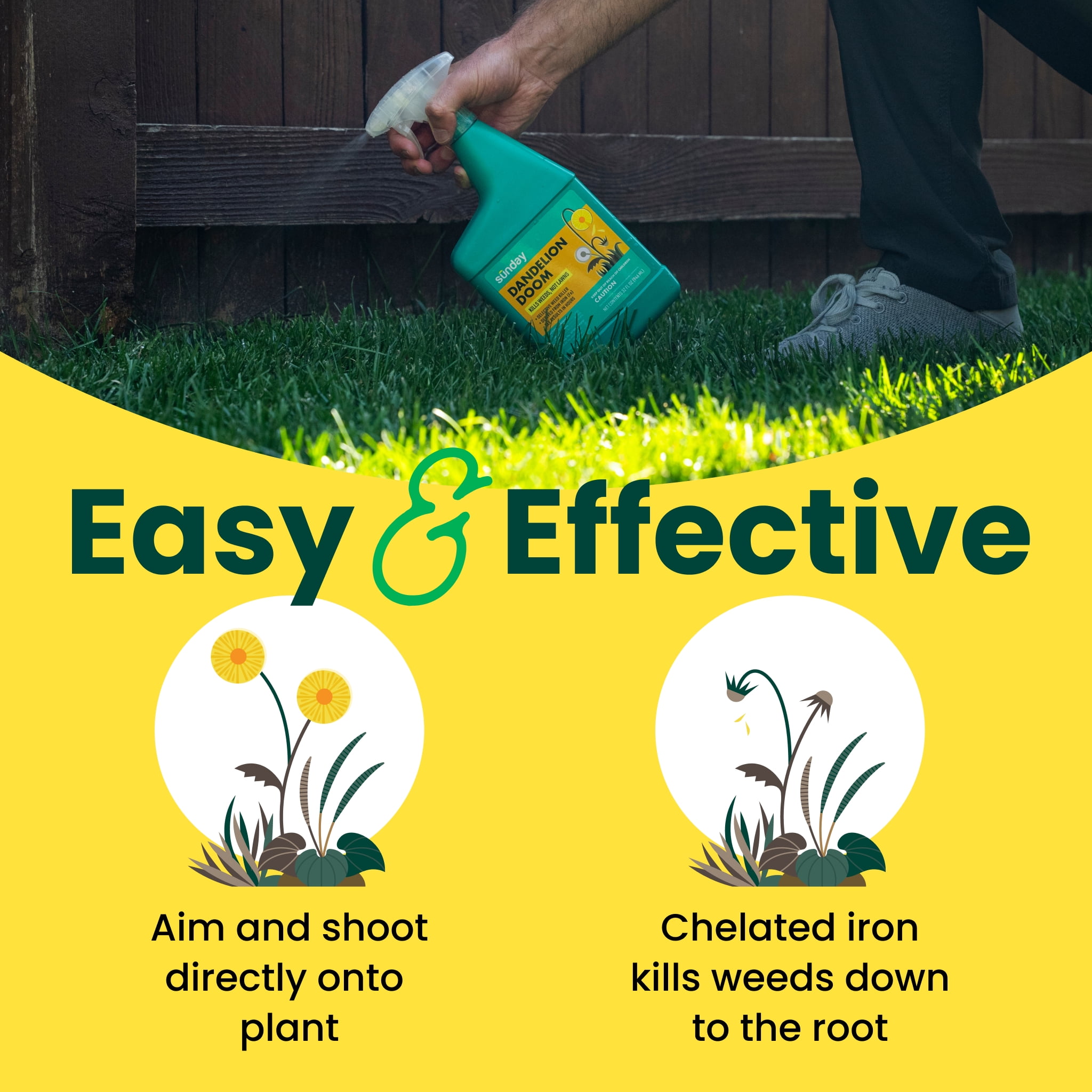 Sunday Dandelion Doom Lawn-Safe Weed Killer, Selective Herbicide, Ready-to-Use Spray, 32 fl oz