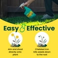 thumbnail image 6 of Sunday Dandelion Doom Lawn-Safe Weed Killer, Selective Herbicide, Ready-to-Use Spray, 32 fl oz, 6 of 6