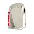 thumbnail image 3 of Men's New Era Light Beige Kansas City Chiefs Stone Multi Patch Shorts, 3 of 5