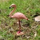 thumbnail image 5 of Figuras de aves de imitación, juguetes en miniatura de animales, decoración, flamenco, 2 uds., 5 of 9