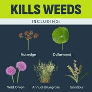 Image Kills Nutsedge Weed Killer Ready-to-Spray Herbicide, 32 oz.