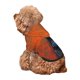 thumbnail image 5 of Fotbe Orange Net Fishing Boat Sudadera con Estampado para Perros Pequeños – Suéter con Capucha para Mascotas, Tela Suave de Forro Polar con Bolsillo-X-Large, 5 of 7