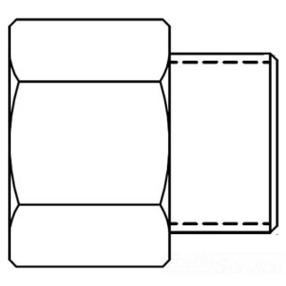 T&S Brass - Adapter, 7/8-20UN Female x 1/2 BSPP Male