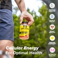 thumbnail image 5 of CON-CRET Concentrated Creatine Gummies, Berry Zing Flavor, Supports Muscle & Brain Health, 60 Ct, 5 of 6