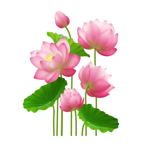 Pink Lotus Flowers Wall Stickers Self-adhesive Removable Decals Vinyl Peel and Stick for Living Room Bedroom Wall Decor 23.6x27.5inch