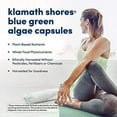 thumbnail image 4 of American Health Klamath Shores Blue Green Algae 120 Caps, 4 of 6