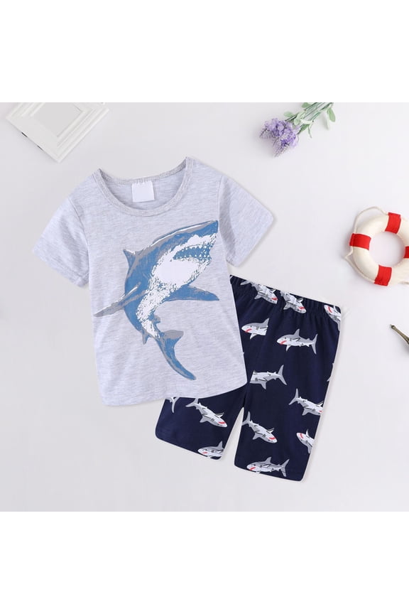 Toddler Boy Summer Short Sleeve Set Fashion Graphic Print T-Shirt and Shorts Suit 2-Piece Kids Casual Playwear Clothing Set