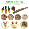 thumbnail image 2 of 9pcs/set Pet Chew Sticks Tooth Cleaning Toy Rabbit Molar Toy Set Cage Bite Stick Accessories, 2 of 7